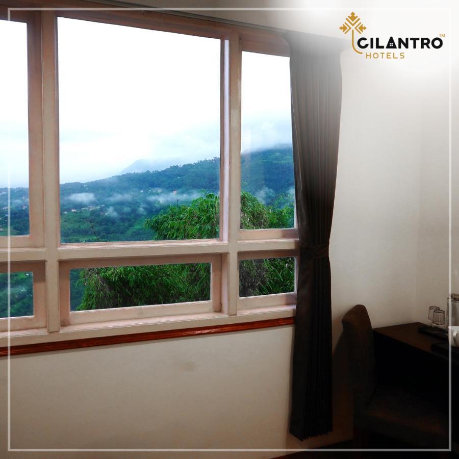 Cilantro Comfort Ґанґток Номер фото