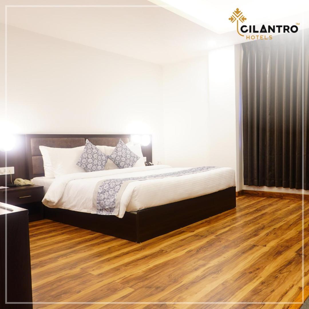 Cilantro Comfort Ґанґток Номер фото
