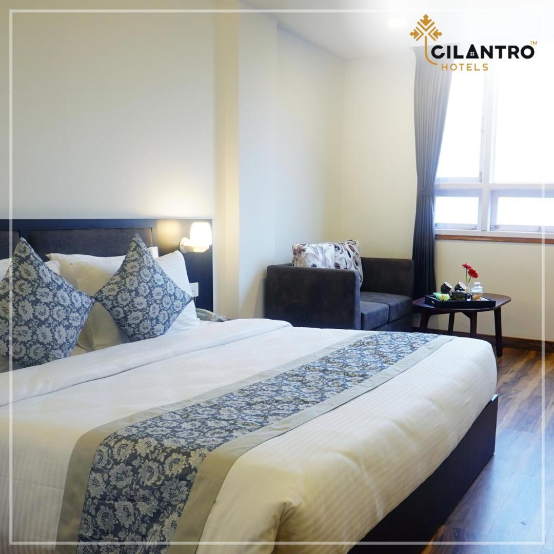 Cilantro Comfort Ґанґток Номер фото