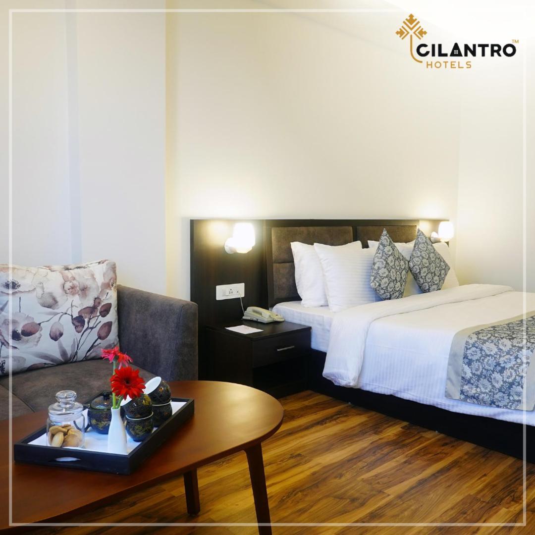 Cilantro Comfort Ґанґток Номер фото