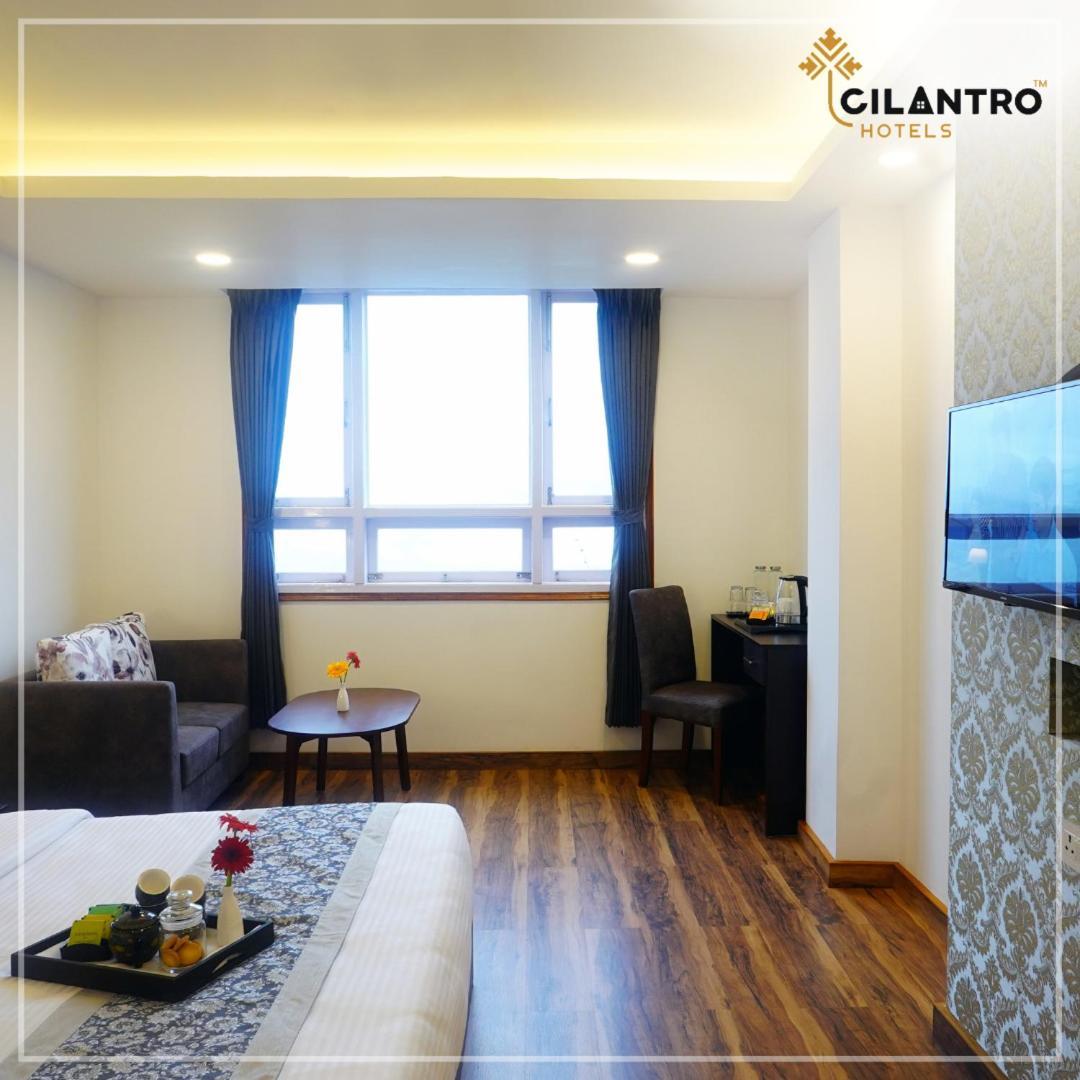 Cilantro Comfort Ґанґток Номер фото