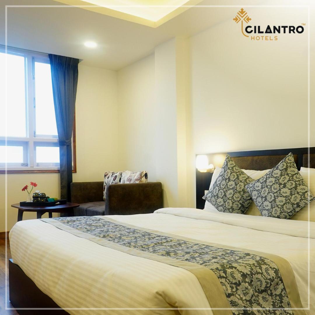 Cilantro Comfort Ґанґток Номер фото